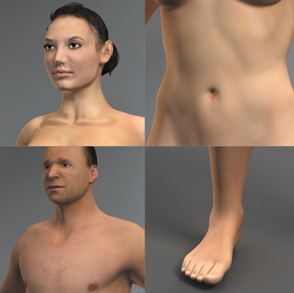 dosch 3d human anatomy rapidshare